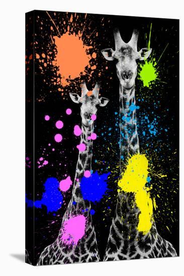 Safari Colors Pop Collection - Giraffes II-Philippe Hugonnard-Stretched Canvas