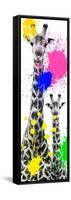 Safari Colors Pop Collection - Giraffes III-Philippe Hugonnard-Framed Stretched Canvas