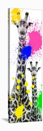 Safari Colors Pop Collection - Giraffes III-Philippe Hugonnard-Stretched Canvas