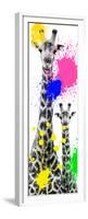 Safari Colors Pop Collection - Giraffes III-Philippe Hugonnard-Framed Premium Giclee Print