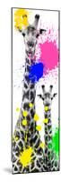 Safari Colors Pop Collection - Giraffes III-Philippe Hugonnard-Mounted Premium Giclee Print