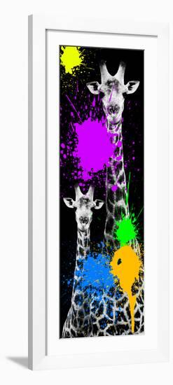 Safari Colors Pop Collection - Giraffes IV-Philippe Hugonnard-Framed Premium Giclee Print