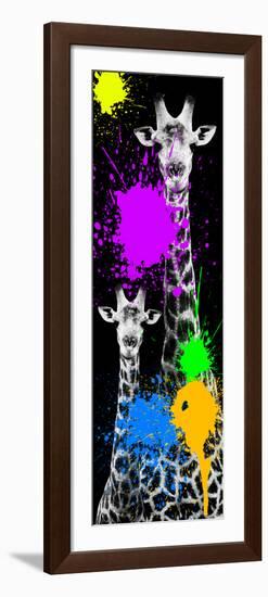 Safari Colors Pop Collection - Giraffes IV-Philippe Hugonnard-Framed Premium Giclee Print