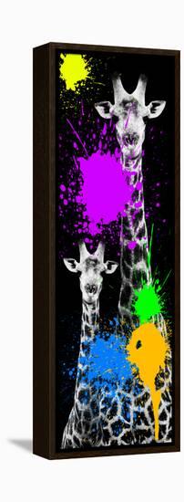 Safari Colors Pop Collection - Giraffes IV-Philippe Hugonnard-Framed Stretched Canvas