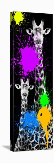 Safari Colors Pop Collection - Giraffes IV-Philippe Hugonnard-Stretched Canvas