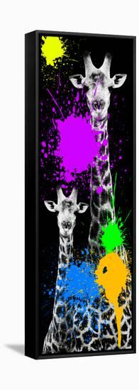 Safari Colors Pop Collection - Giraffes IV-Philippe Hugonnard-Framed Stretched Canvas