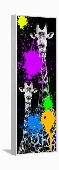 Safari Colors Pop Collection - Giraffes IV-Philippe Hugonnard-Framed Stretched Canvas