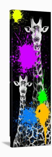 Safari Colors Pop Collection - Giraffes IV-Philippe Hugonnard-Stretched Canvas