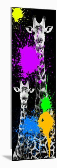 Safari Colors Pop Collection - Giraffes IV-Philippe Hugonnard-Mounted Giclee Print