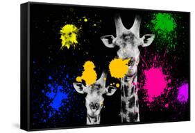 Safari Colors Pop Collection - Giraffes Portrait II-Philippe Hugonnard-Framed Stretched Canvas