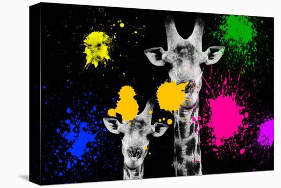 Safari Colors Pop Collection - Giraffes Portrait II-Philippe Hugonnard-Stretched Canvas