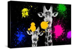 Safari Colors Pop Collection - Giraffes Portrait II-Philippe Hugonnard-Stretched Canvas