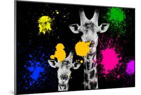Safari Colors Pop Collection - Giraffes Portrait II-Philippe Hugonnard-Mounted Giclee Print