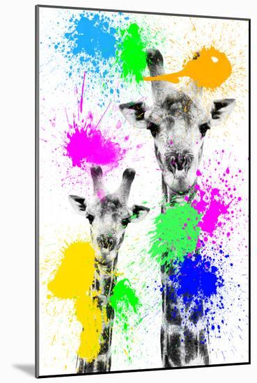 Safari Colors Pop Collection - Giraffes Portrait III-Philippe Hugonnard-Mounted Giclee Print