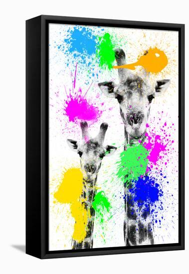 Safari Colors Pop Collection - Giraffes Portrait III-Philippe Hugonnard-Framed Stretched Canvas