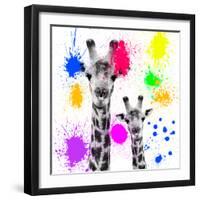 Safari Colors Pop Collection - Giraffes Portrait V-Philippe Hugonnard-Framed Giclee Print