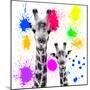 Safari Colors Pop Collection - Giraffes Portrait V-Philippe Hugonnard-Mounted Giclee Print