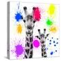 Safari Colors Pop Collection - Giraffes Portrait V-Philippe Hugonnard-Stretched Canvas