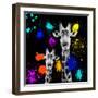 Safari Colors Pop Collection - Giraffes Portrait VI-Philippe Hugonnard-Framed Giclee Print