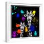 Safari Colors Pop Collection - Giraffes Portrait VI-Philippe Hugonnard-Framed Giclee Print