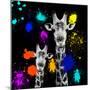 Safari Colors Pop Collection - Giraffes Portrait VI-Philippe Hugonnard-Mounted Giclee Print