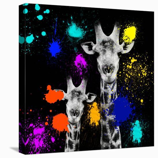 Safari Colors Pop Collection - Giraffes Portrait VI-Philippe Hugonnard-Stretched Canvas