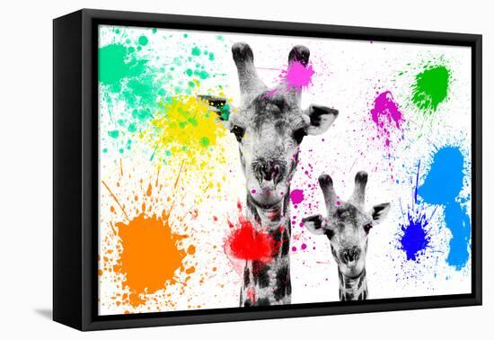Safari Colors Pop Collection - Giraffes Portrait-Philippe Hugonnard-Framed Stretched Canvas