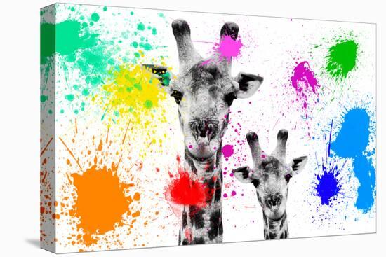 Safari Colors Pop Collection - Giraffes Portrait-Philippe Hugonnard-Stretched Canvas