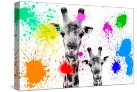 Safari Colors Pop Collection - Giraffes Portrait-Philippe Hugonnard-Stretched Canvas