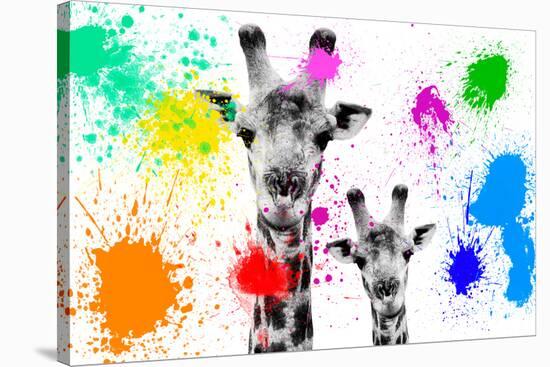 Safari Colors Pop Collection - Giraffes Portrait-Philippe Hugonnard-Stretched Canvas