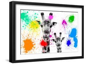 Safari Colors Pop Collection - Giraffes Portrait-Philippe Hugonnard-Framed Giclee Print