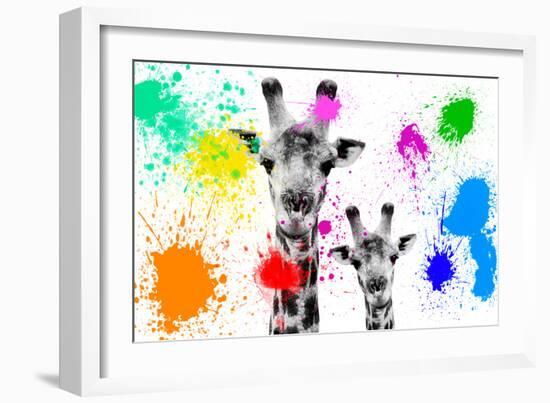 Safari Colors Pop Collection - Giraffes Portrait-Philippe Hugonnard-Framed Giclee Print