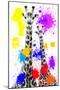 Safari Colors Pop Collection - Giraffes-Philippe Hugonnard-Mounted Giclee Print