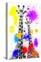 Safari Colors Pop Collection - Giraffes-Philippe Hugonnard-Stretched Canvas