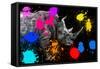 Safari Colors Pop Collection - Rhino II-Philippe Hugonnard-Framed Stretched Canvas