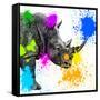 Safari Colors Pop Collection - Rhino Portrait II-Philippe Hugonnard-Framed Stretched Canvas