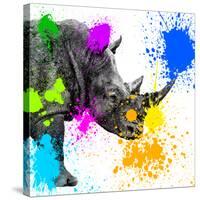 Safari Colors Pop Collection - Rhino Portrait II-Philippe Hugonnard-Stretched Canvas