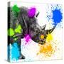 Safari Colors Pop Collection - Rhino Portrait II-Philippe Hugonnard-Stretched Canvas