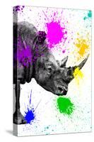 Safari Colors Pop Collection - Rhino Portrait IV-Philippe Hugonnard-Stretched Canvas