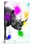 Safari Colors Pop Collection - Rhino Portrait IV-Philippe Hugonnard-Stretched Canvas