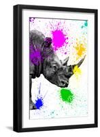 Safari Colors Pop Collection - Rhino Portrait IV-Philippe Hugonnard-Framed Giclee Print