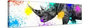 Safari Colors Pop Collection - Rhino Portrait V-Philippe Hugonnard-Stretched Canvas