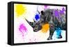 Safari Colors Pop Collection - Rhino Portrait VII-Philippe Hugonnard-Framed Stretched Canvas