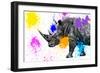 Safari Colors Pop Collection - Rhino Portrait VII-Philippe Hugonnard-Framed Giclee Print