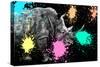 Safari Colors Pop Collection - Rhino Portrait VIII-Philippe Hugonnard-Stretched Canvas