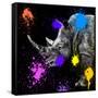 Safari Colors Pop Collection - Rhino Portrait-Philippe Hugonnard-Framed Stretched Canvas