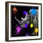 Safari Colors Pop Collection - Rhino Portrait-Philippe Hugonnard-Framed Giclee Print