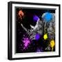 Safari Colors Pop Collection - Rhino Portrait-Philippe Hugonnard-Framed Giclee Print