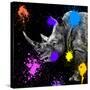 Safari Colors Pop Collection - Rhino Portrait-Philippe Hugonnard-Stretched Canvas