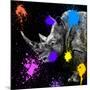 Safari Colors Pop Collection - Rhino Portrait-Philippe Hugonnard-Mounted Giclee Print